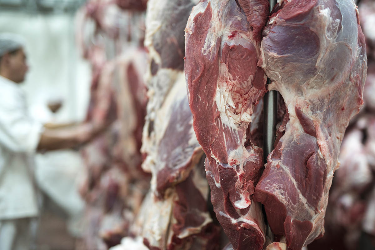 سود بازرگانی صفر درصدی واردات گوشت